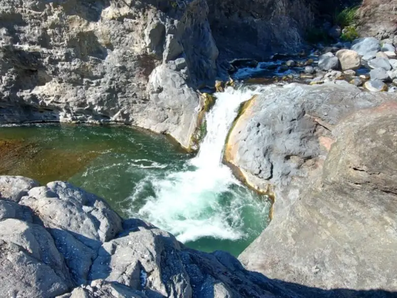 A rfeunion est plus qu'une tradition, c'est une culture , reunionconnect.fr