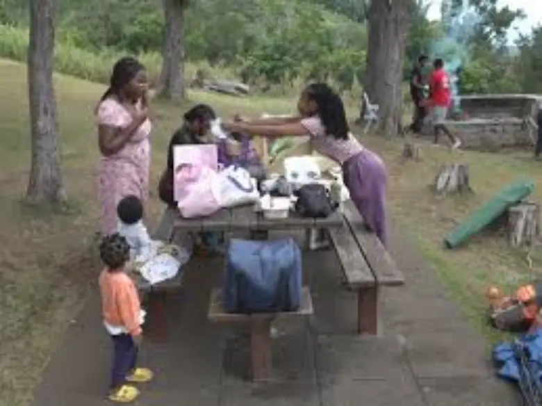 Recettes clandestines des hauts authenticite reunionconnect.fr