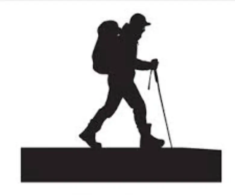 You are currently viewing Randonnée du Crédit Foncier : Explorez la Forêt de Tévelave à La Réunion