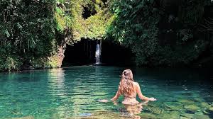 Promenade forestière sous les filaos, parfaite pour ralentir le rythme et profiter d’un moment nature à l’étang-salé.
