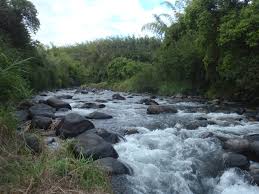Le Bassin Bleu à Saint-Benoît révèle la nature généreuse de l’île de la réunion, parfait pour se relaxer et explorer l’est verdoyant reunionconnect.fr