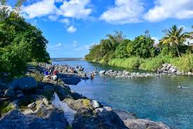 Explorer le Bassin Bleu de Saint-Benoît, c’est vivre une expérience locale au cœur de l’île de la réunion entre eau douce et végétation luxuriante reunionconnect.fr