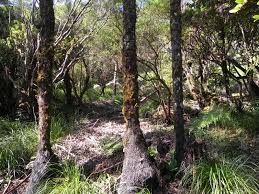 Enjeux économiques autour d’une pratique emblématique.