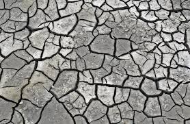 Lire la suite à propos de l’article Eau et territoire.
